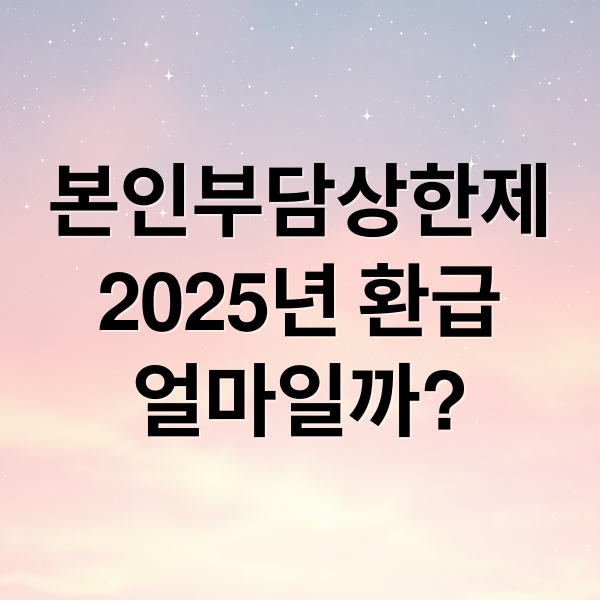 본인부담상한제
2025년 환급
얼마일까? (2025년 본인부담상한제 환급)