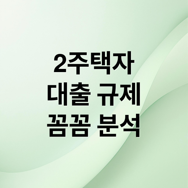 2주택자
대출 규제
꼼꼼 분석 (2주택자 대출 규제 DSR LTV)