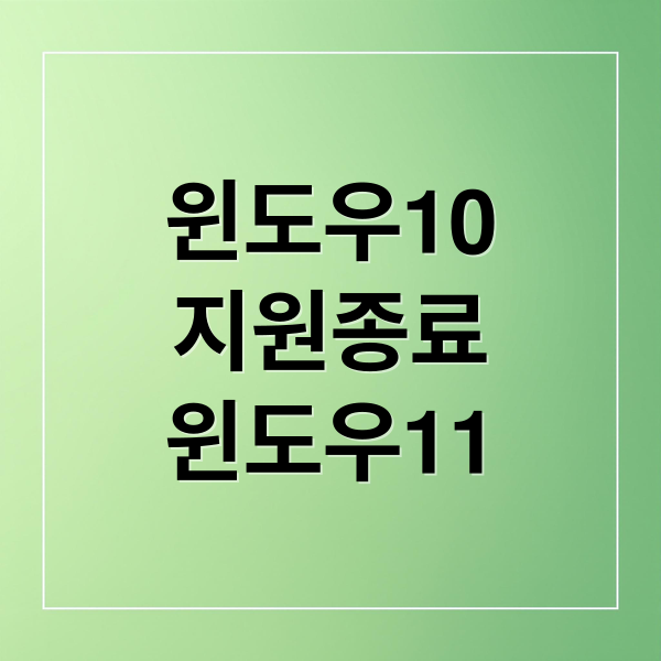 윈도우10
지원종료
윈도우11 (윈도우 10 지원 종료 윈도우 11 업데이트)