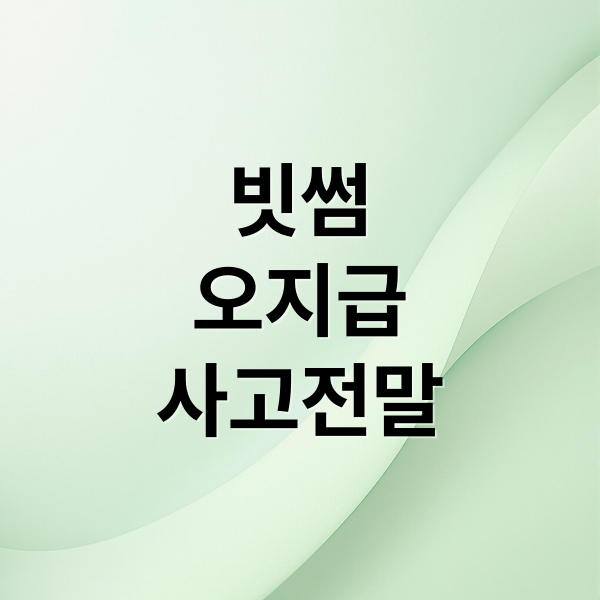 빗썸
오지급
사고전말 (빗썸 오지급 규제)