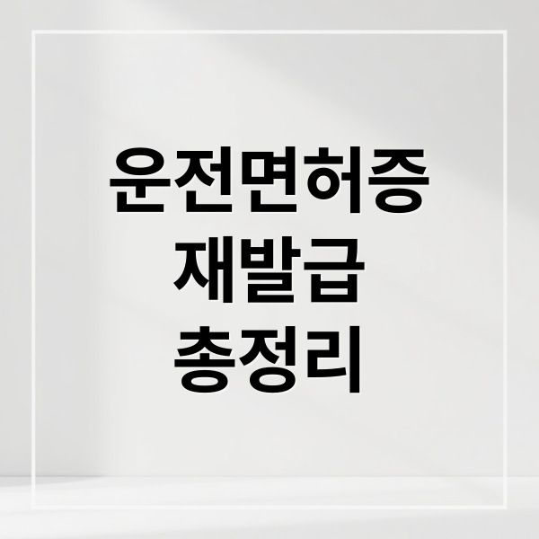 운전면허증
재발급
총정리 (운전면허증 재발급 모바일 신분증)