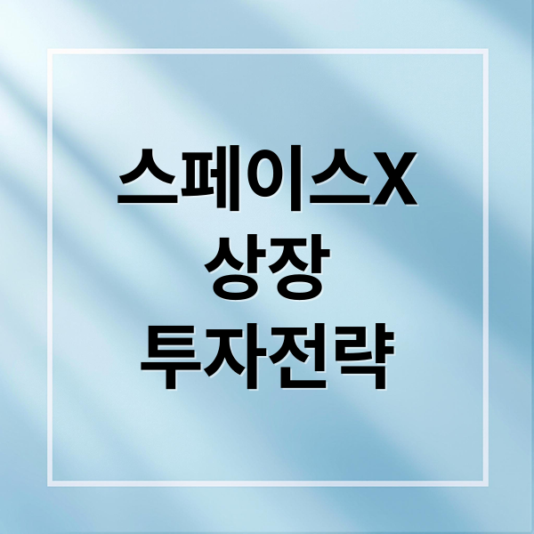 스페이스X
상장
투자전략 (스페이스X 상장)