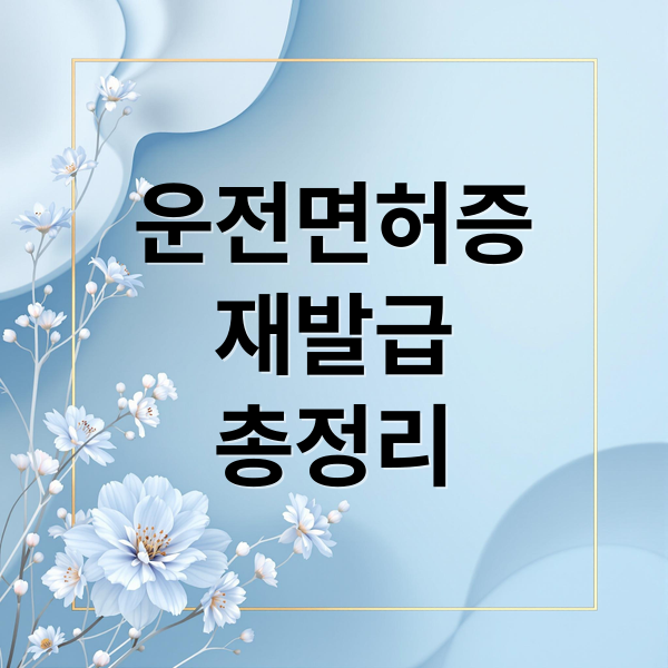 운전면허증
재발급
총정리 (운전면허증 재발급)