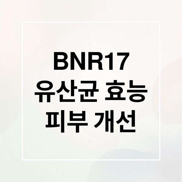 BNR17
유산균 효능
피부 개선 (BNR17 유산균)