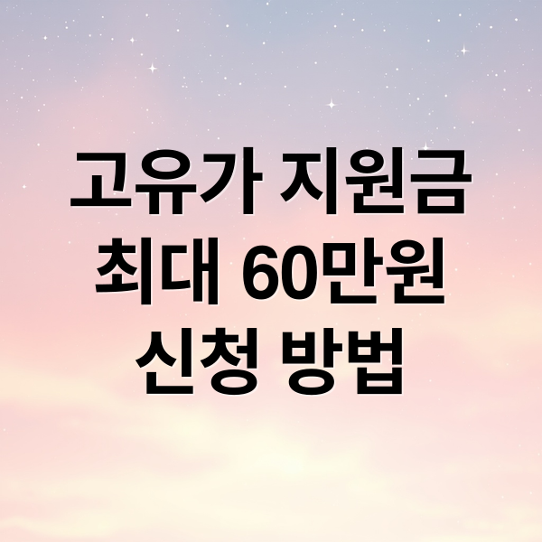 고유가 지원금
최대 60만원
신청 방법 (고유가지원금 60만원 신청)