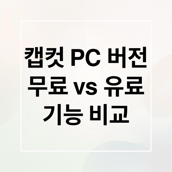 캡컷 PC 버전
무료 vs 유료
기능 비교 (캡컷 유료 PC 적용)