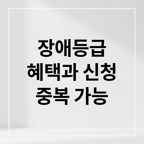 장애등급혜택과 신청중복 가능 (노인 장애등급 혜택)