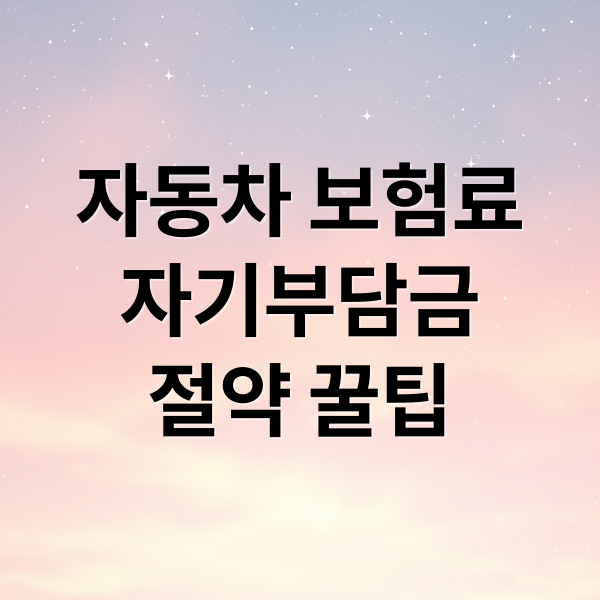 자동차 보험료
자기부담금
절약 꿀팁 (자동차 보험 자기부담금이란? 계산법부터 절약 꿀팁까지!)