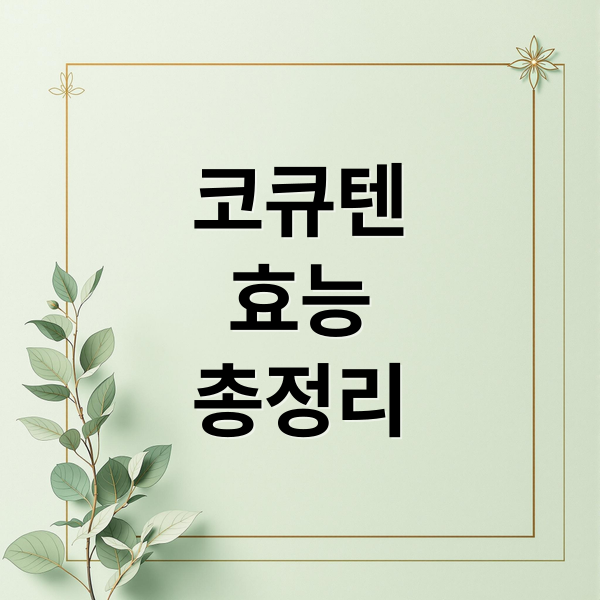 코큐텐효능총정리 (코큐텐 효능)