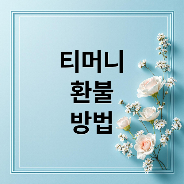 티머니
환불
방법 (티머니 환불 방법)