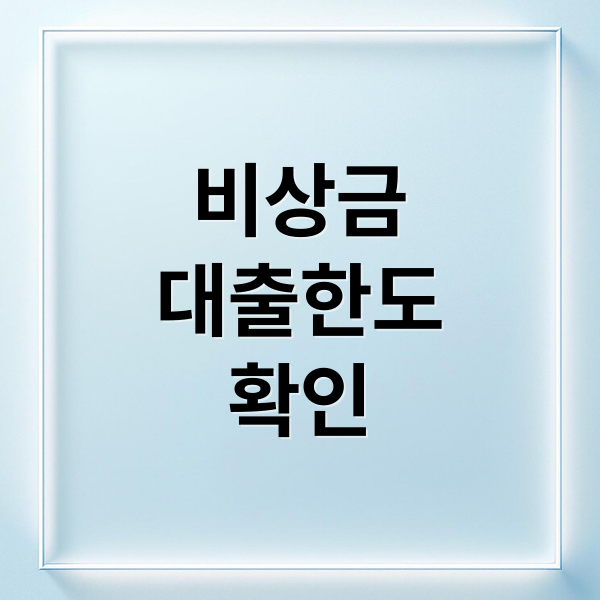 비상금 대출한도 확인