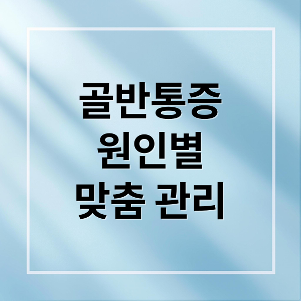 골반통증
원인별
맞춤 관리 (골반통증 원인 치료 운동)