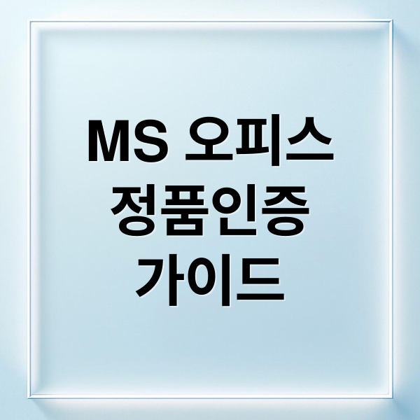 MS 오피스
정품인증
가이드 (MS 오피스 정품인증 오류)