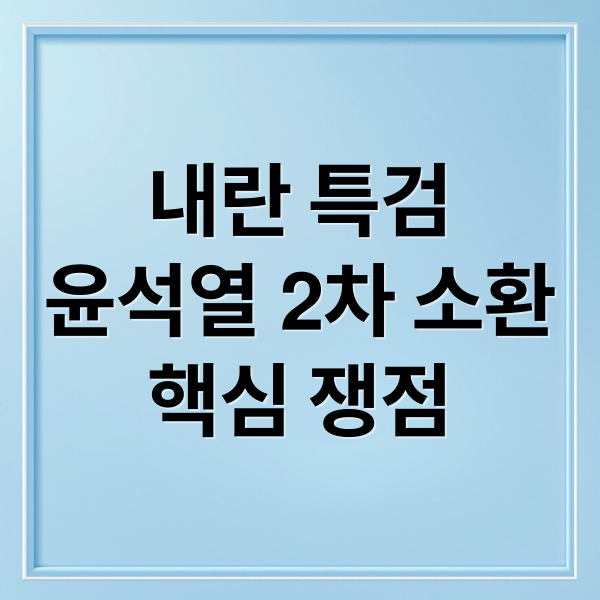 내란 특검
윤석열 2차 소환
핵심 쟁점 (내란 특검)