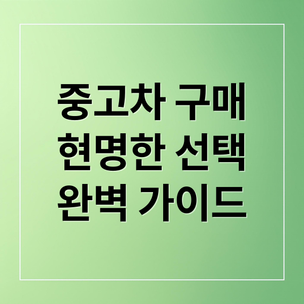 중고차 구매
현명한 선택
완벽 가이드 (중고차 구매)