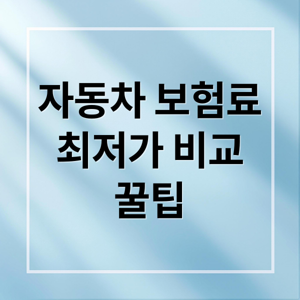 자동차 보험료
최저가 비교
꿀팁 (자동차 보험 최저가)