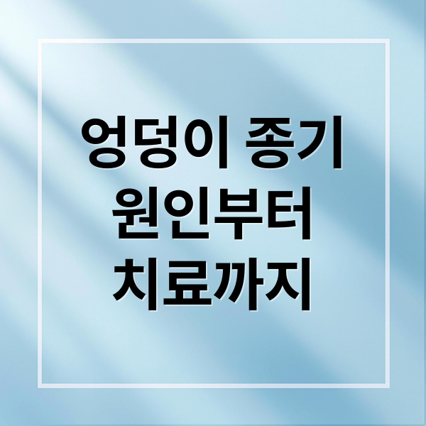 엉덩이 종기
원인부터
치료까지 (엉덩이 종기 이유)