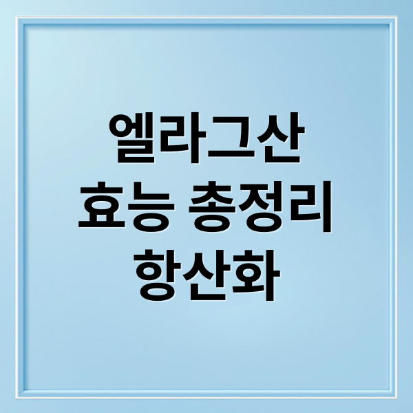 엘라그산
효능 총정리
항산화 (엘라그산 효능)
