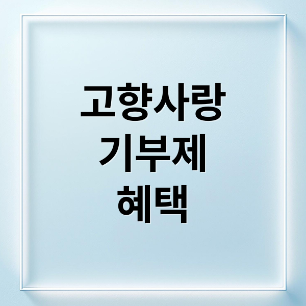 고향사랑
기부제
혜택 (고향사랑 기부제)