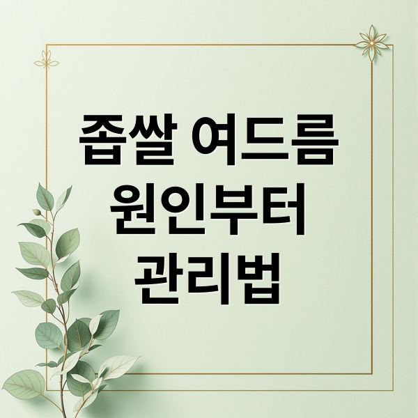 좁쌀 여드름
원인부터
관리법 (좁쌀 여드름 디메치콘 실리콘)