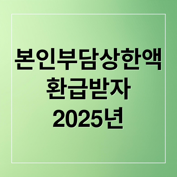 본인부담상한액
환급받자
2025년 (본인부담상한액 초과금 의료비 환급)
