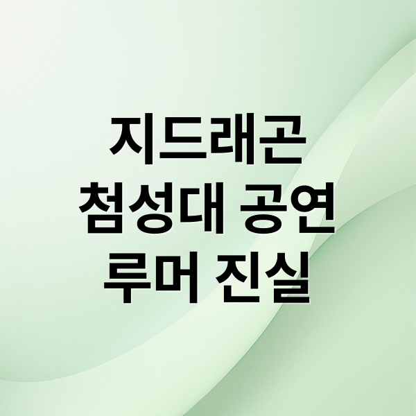 지드래곤
첨성대 공연
루머 진실 (지드래곤 첨성대 공연)