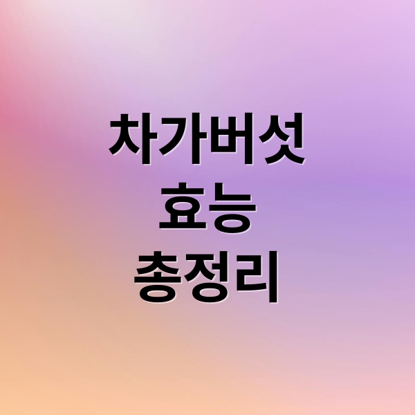 차가버섯
효능
총정리 (차가버섯차 효능 부작용)