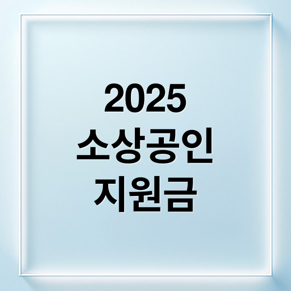 2025
소상공인
지원금 (소상공인 지원금 대상)