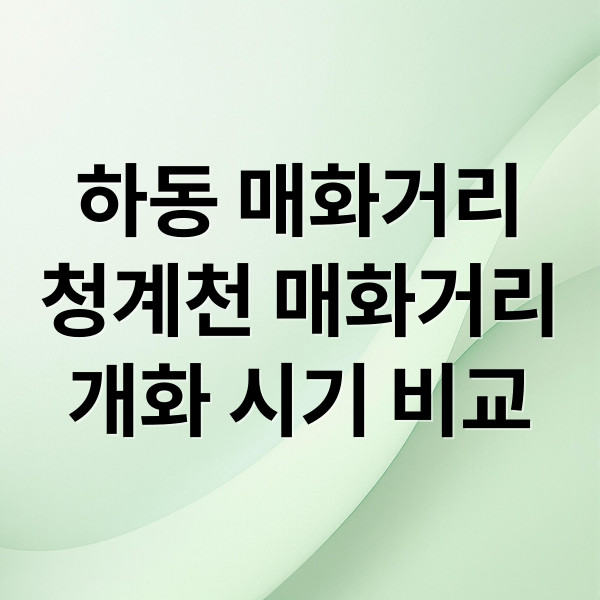 하동 매화거리
청계천 매화거리
개화 시기 비교 (하동 청계천 매화꽃 개화시기)