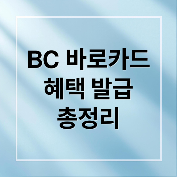 BC 바로카드
혜택 발급
총정리 (BC 바로카드 발급)