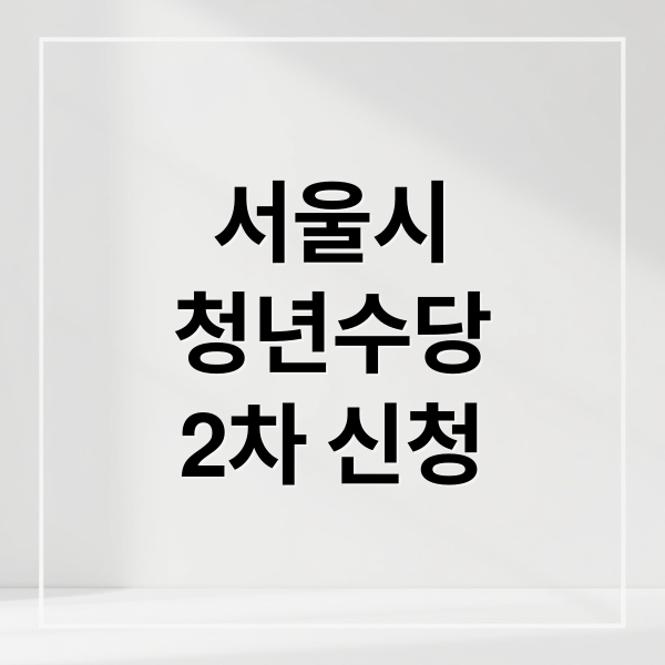 서울시
청년수당
2차 신청 (서울시 청년수당 2차 신청)