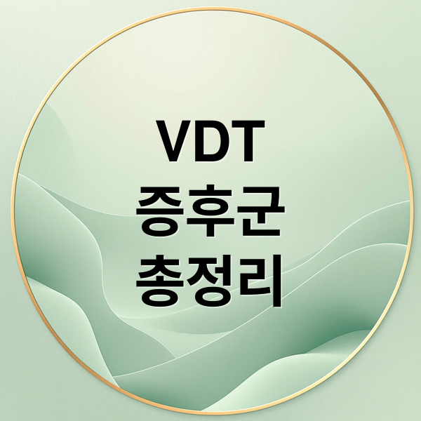 VDT
증후군
총정리 (VDT 증후군)