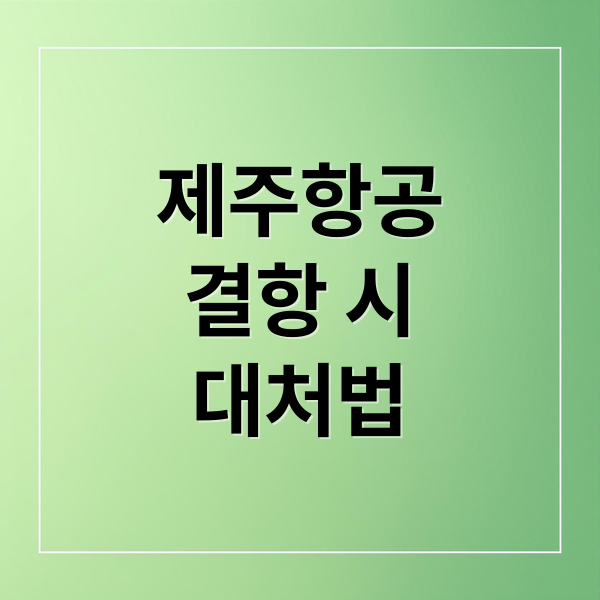 제주항공
결항 시
대처법 (제주 항공 결항 꿀팁)