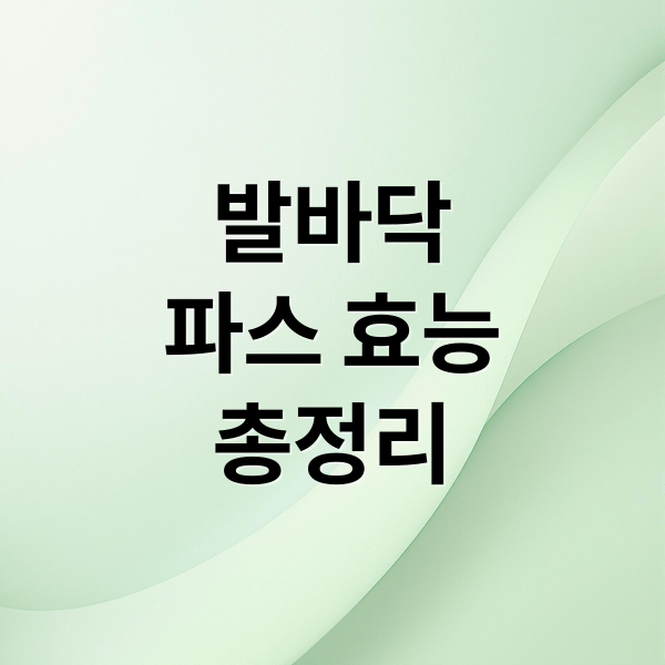발바닥
파스 효능
총정리 (발바닥 파스 효과 사용법)
