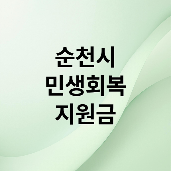 순천시
민생회복
지원금 (순천 민생회복지원금 20만원)