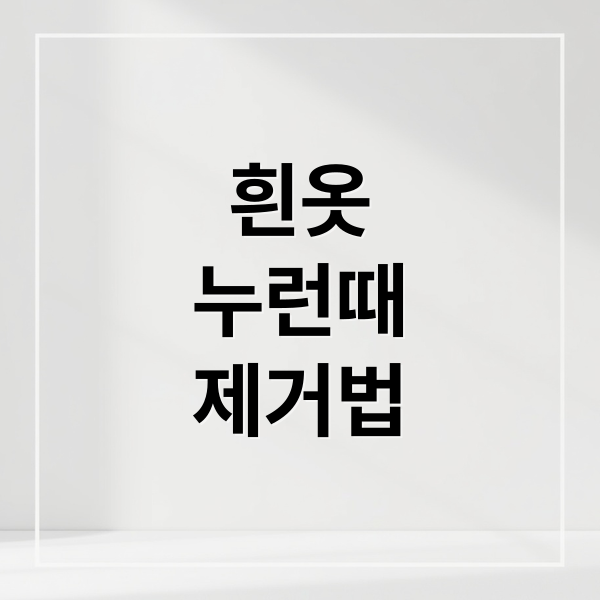 흰옷
누런때
제거법 (흰옷 누런때 제거 방법)