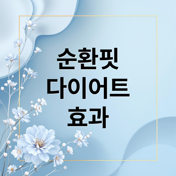 순환핏
다이어트
효과 (순환핏 다이어트)