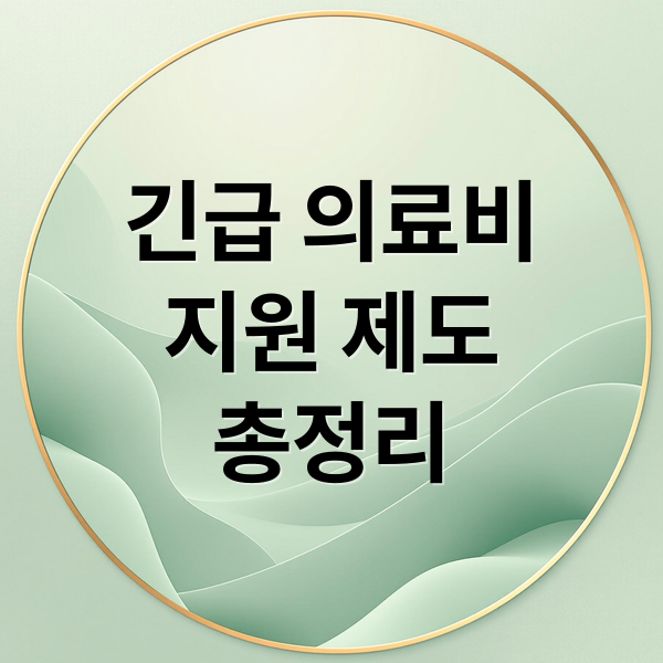 긴급 의료비
지원 제도
총정리 (긴급의료비지원)