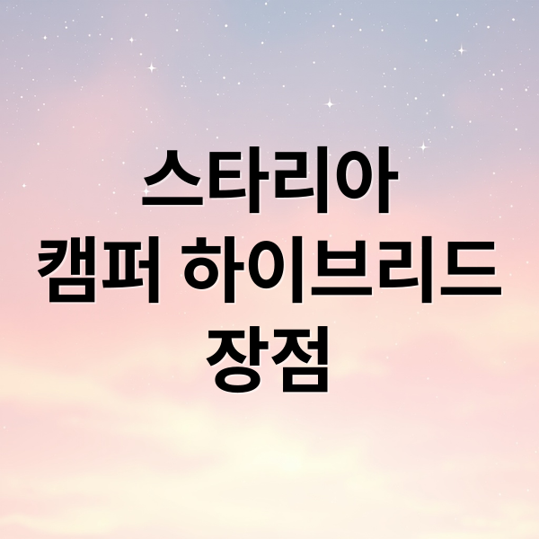 스타리아
캠퍼 하이브리드
장점 (스타리아 캠핑카 라운지 캠퍼 하이브리드 프레스티지)