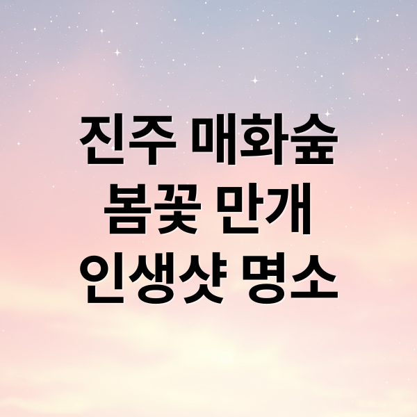 진주 매화숲
봄꽃 만개
인생샷 명소 (진주 매화숲 명소)