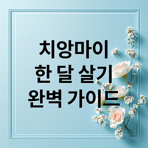 치앙마이
한 달 살기
완벽 가이드 (치앙마이 가족여행 장기주차 정보)