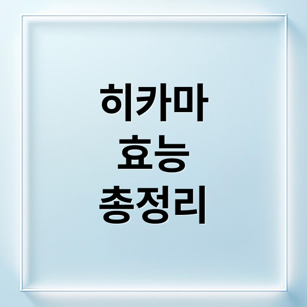 히카마
효능
총정리 (히카마 효능 다이어트 정체기)