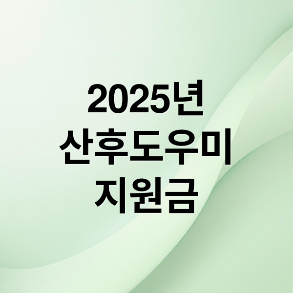 2025년
산후도우미
지원금 (산후도우미지원금)