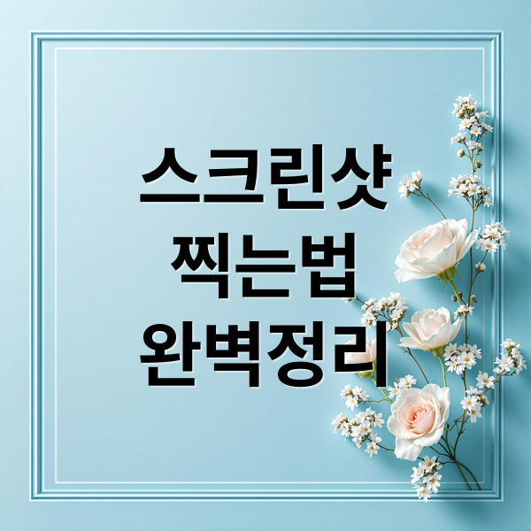 스크린샷
찍는법
완벽정리 (스크린샷 찍는 법)