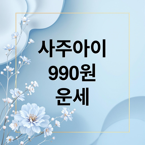 사주아이 990원 운세 (사주아이 홈페이지, 990원 사이트)