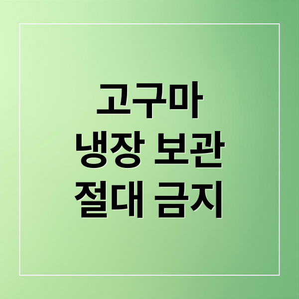 고구마
냉장 보관
절대 금지 (고구마 보관 냉장고 금지 베란다)