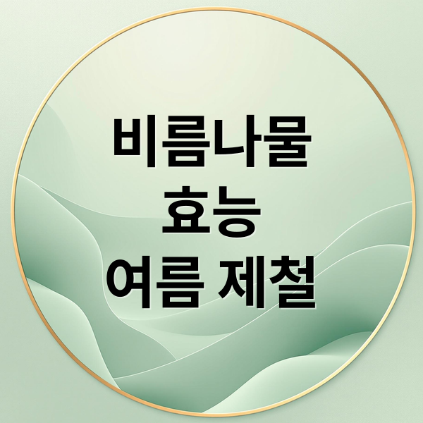 비름나물
효능
여름 제철 (비름나물 효능 먹는 법)