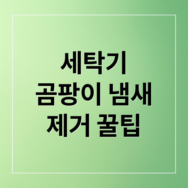 세탁기
곰팡이 냄새
제거 꿀팁 (세탁기 곰팡이 냄새 제거 꿀팁)