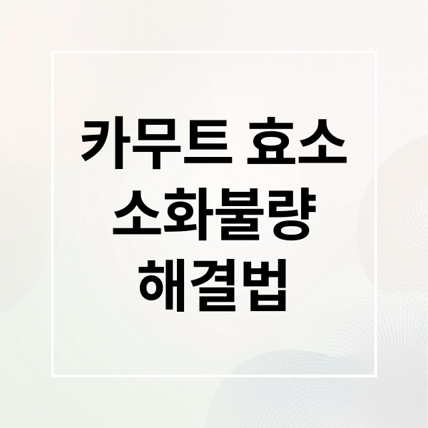 카무트 효소
소화불량
해결법 (카무트효소 가격 효능 부작용)
