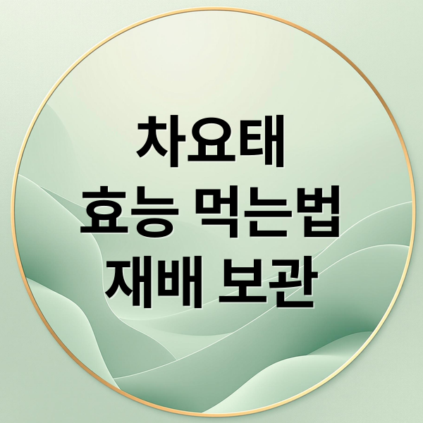 차요태
효능 먹는법
재배 보관 (차요태 효능 먹는법 수확시기)
